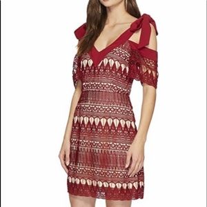 149. Keepsake The Label Lace Mini Dress in Berry